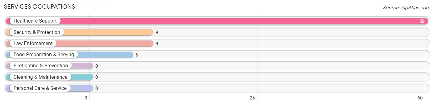 Services Occupations in Zip Code 04087