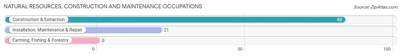 Natural Resources, Construction and Maintenance Occupations in Zip Code 04088