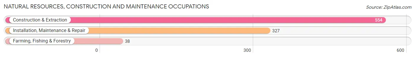 Natural Resources, Construction and Maintenance Occupations in Zip Code 04092