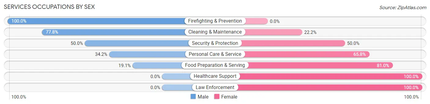 Services Occupations by Sex in Zip Code 04095