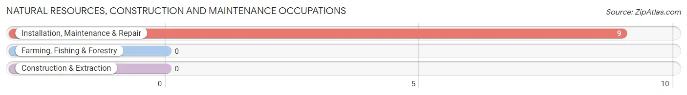 Natural Resources, Construction and Maintenance Occupations in Zip Code 04226