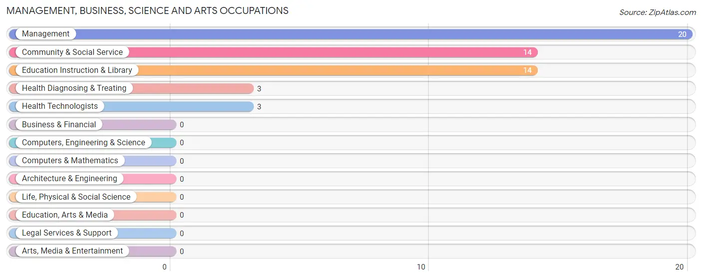 Management, Business, Science and Arts Occupations in Zip Code 04237