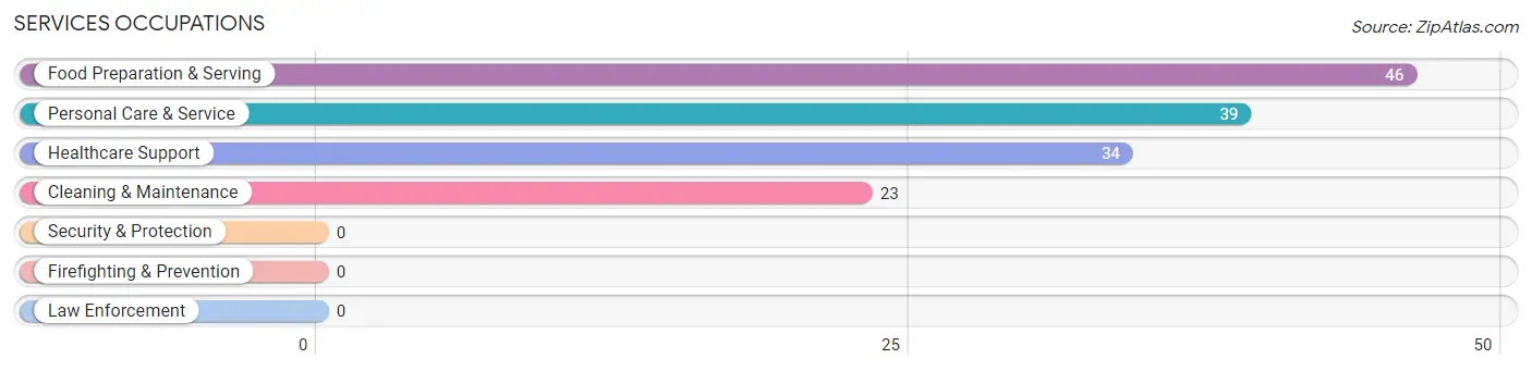 Services Occupations in Zip Code 04254