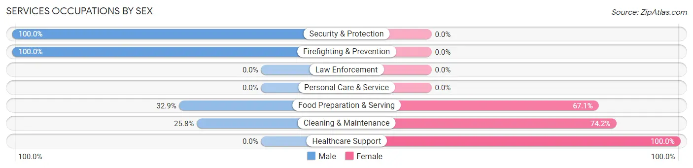 Services Occupations by Sex in Zip Code 04257