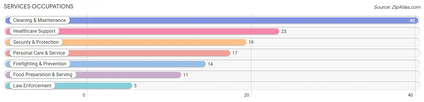 Services Occupations in Zip Code 04263