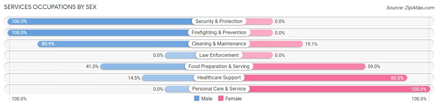 Services Occupations by Sex in Zip Code 04270