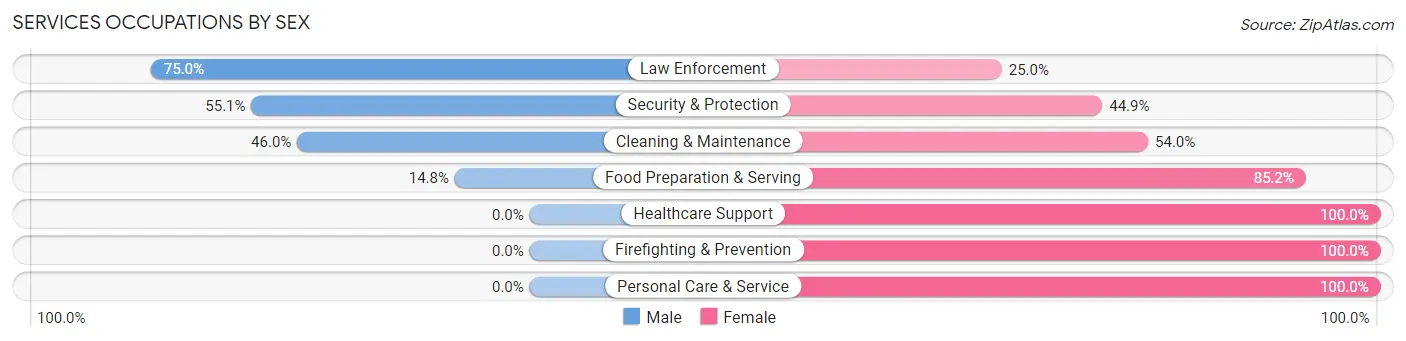 Services Occupations by Sex in Zip Code 04276