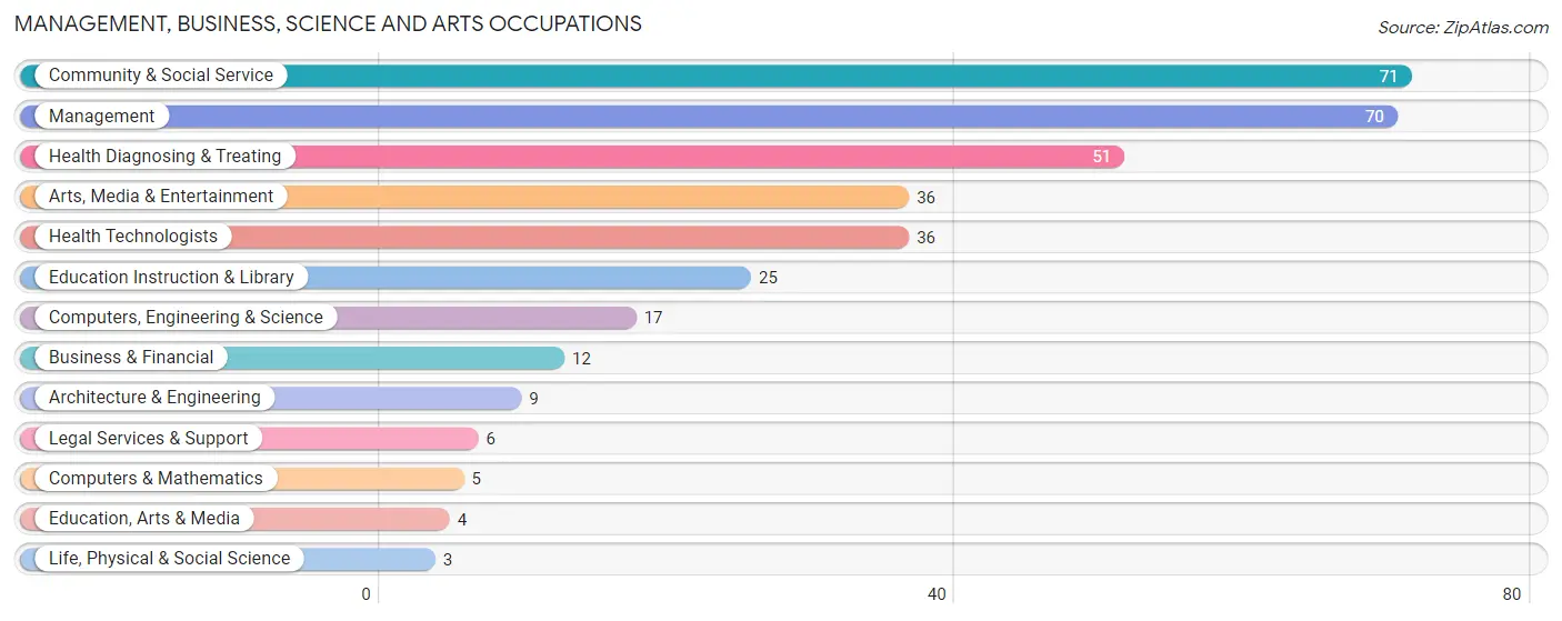 Management, Business, Science and Arts Occupations in Zip Code 04284