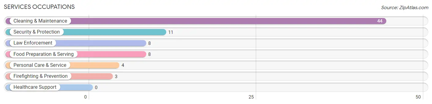 Services Occupations in Zip Code 04284