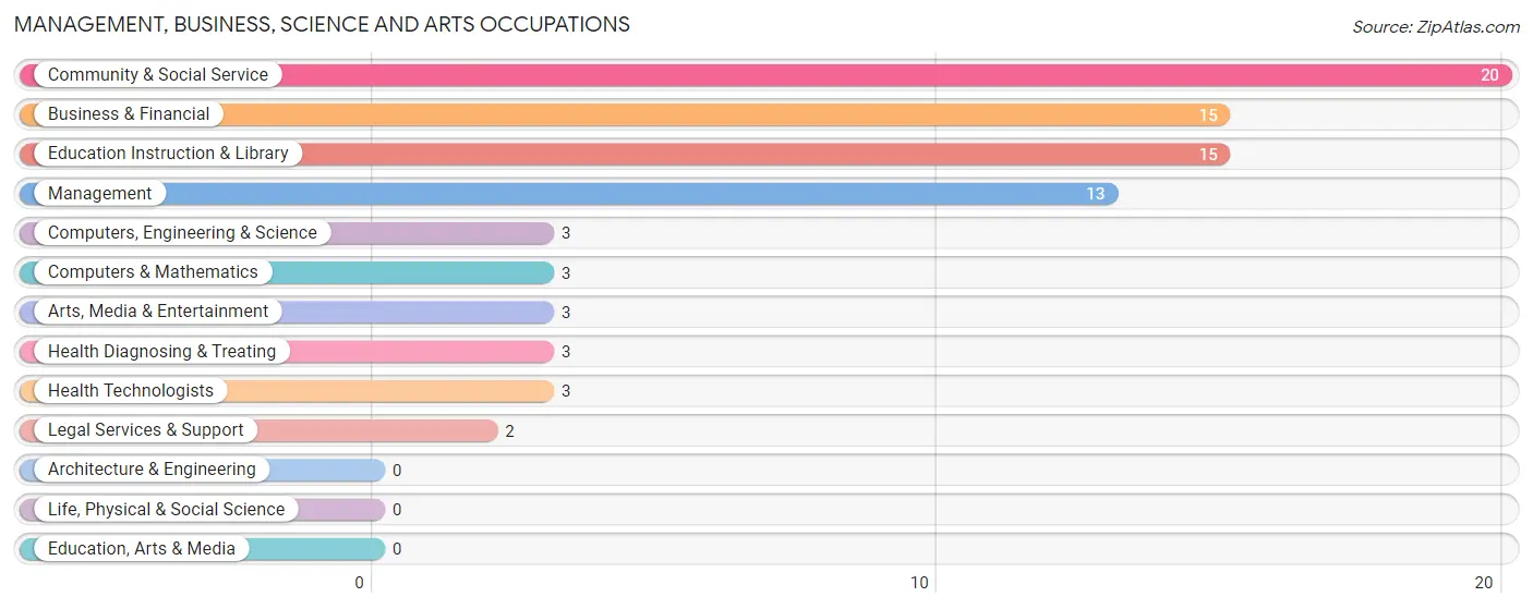 Management, Business, Science and Arts Occupations in Zip Code 04285