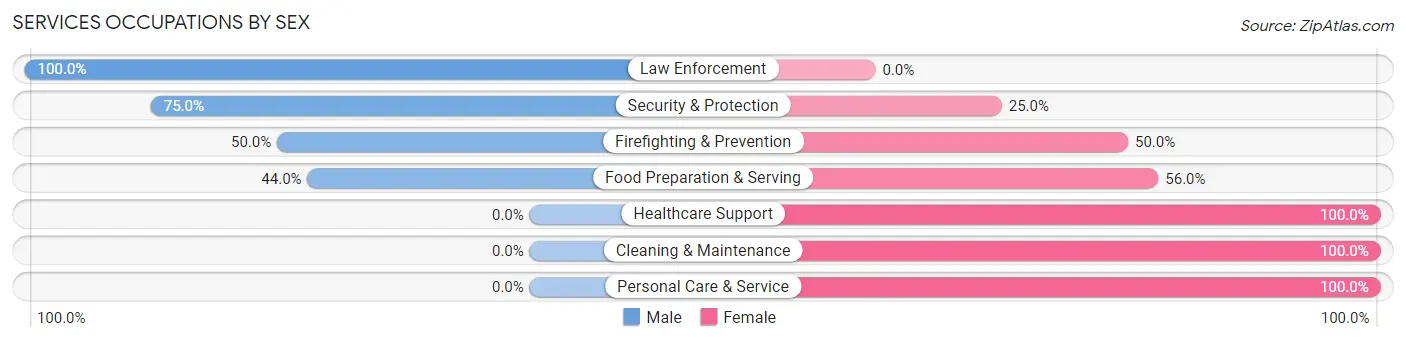 Services Occupations by Sex in Zip Code 04289