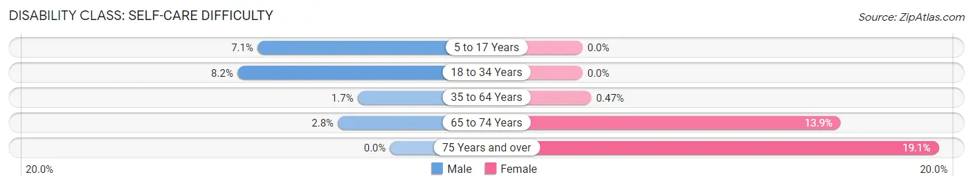 Disability in Zip Code 04294: <span>Self-Care Difficulty</span>