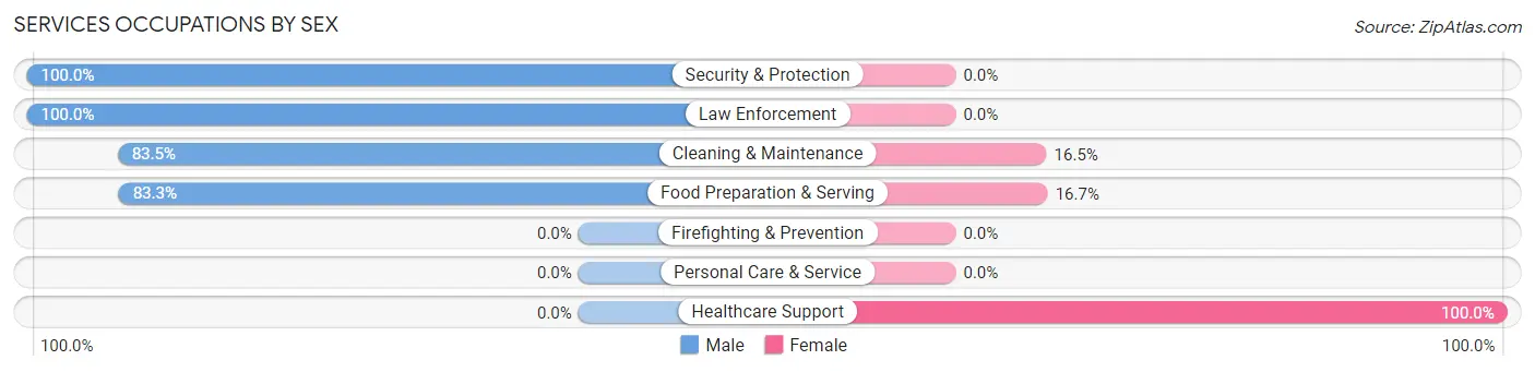 Services Occupations by Sex in Zip Code 04294