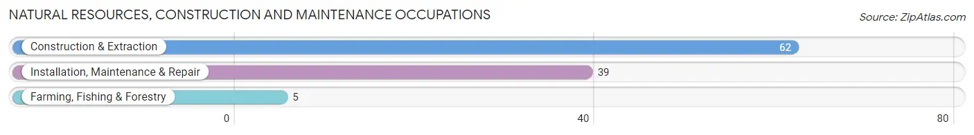 Natural Resources, Construction and Maintenance Occupations in Zip Code 04342