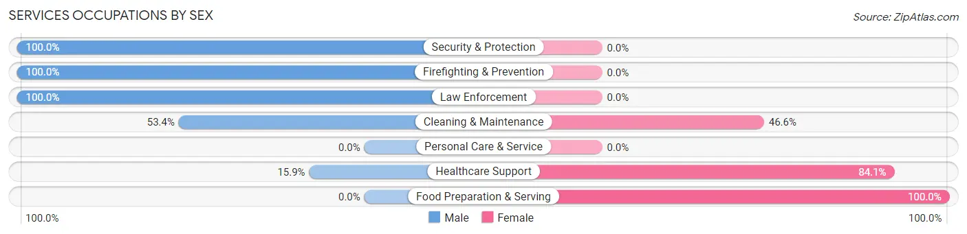 Services Occupations by Sex in Zip Code 04350