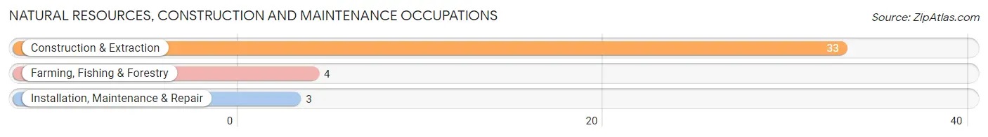 Natural Resources, Construction and Maintenance Occupations in Zip Code 04360