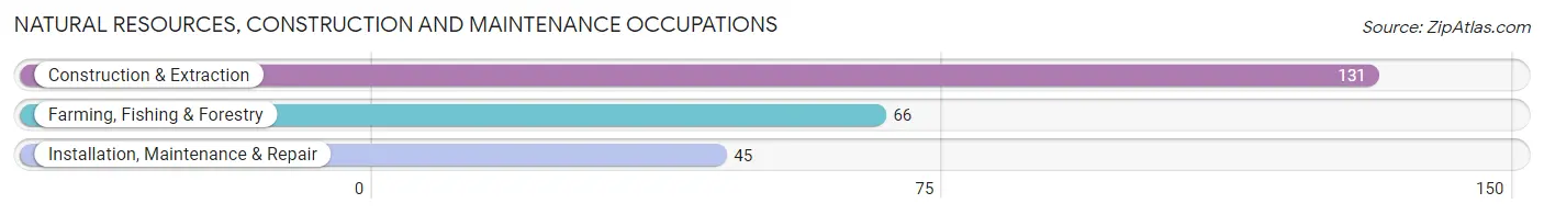 Natural Resources, Construction and Maintenance Occupations in Zip Code 04363