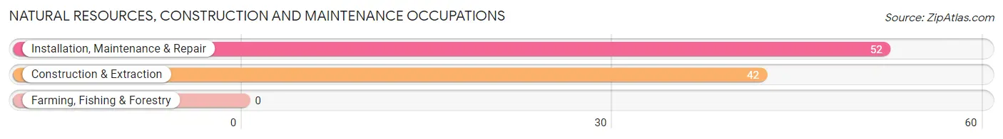 Natural Resources, Construction and Maintenance Occupations in Zip Code 04411