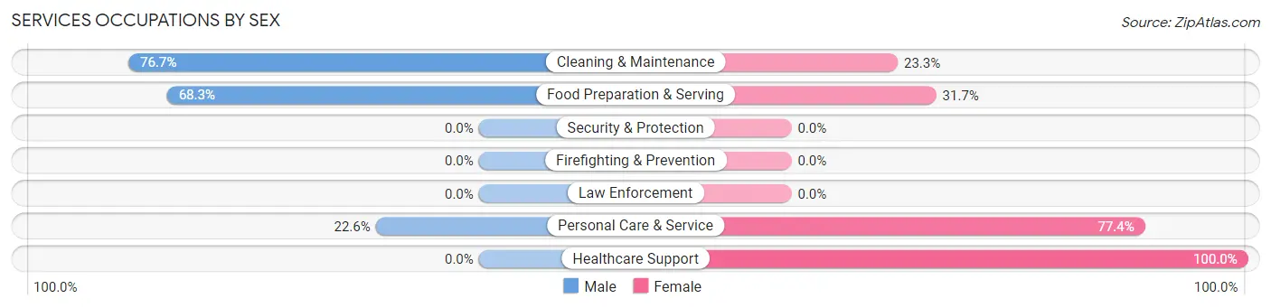 Services Occupations by Sex in Zip Code 04449