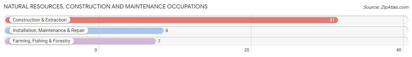 Natural Resources, Construction and Maintenance Occupations in Zip Code 04453