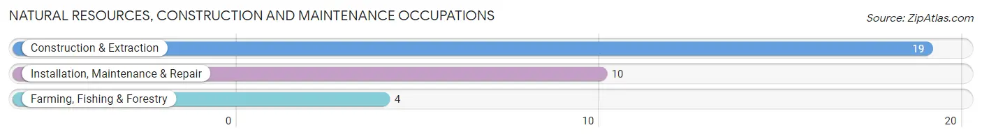 Natural Resources, Construction and Maintenance Occupations in Zip Code 04460