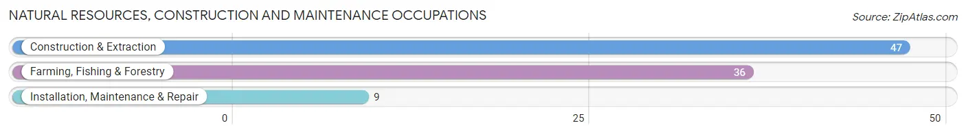 Natural Resources, Construction and Maintenance Occupations in Zip Code 04555