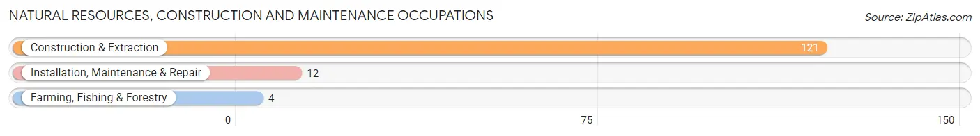 Natural Resources, Construction and Maintenance Occupations in Zip Code 04574