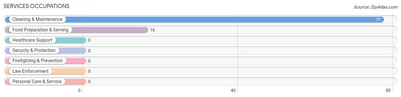 Services Occupations in Zip Code 04616