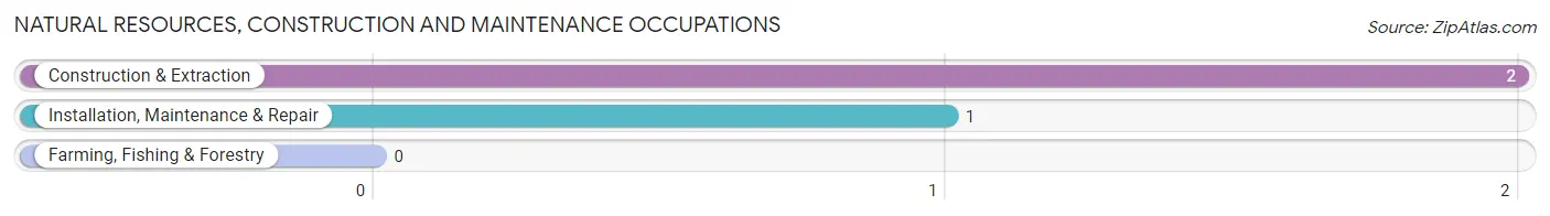 Natural Resources, Construction and Maintenance Occupations in Zip Code 04625