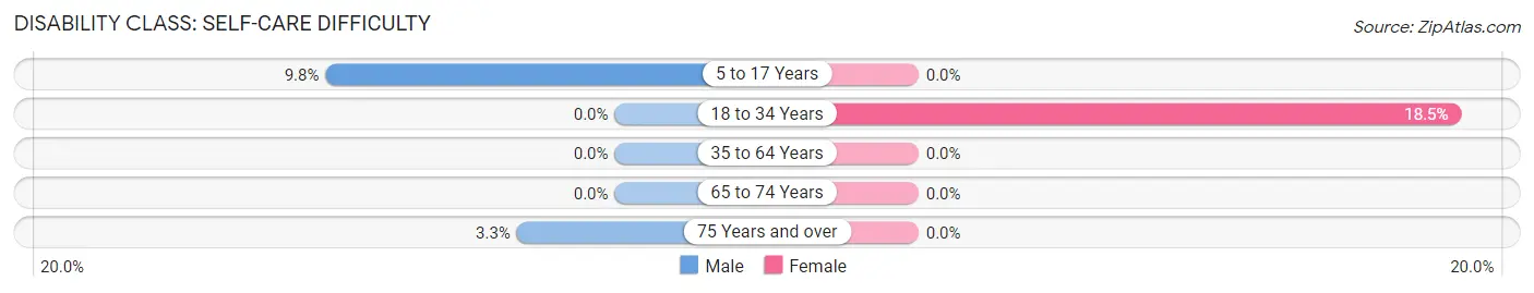 Disability in Zip Code 04627: <span>Self-Care Difficulty</span>