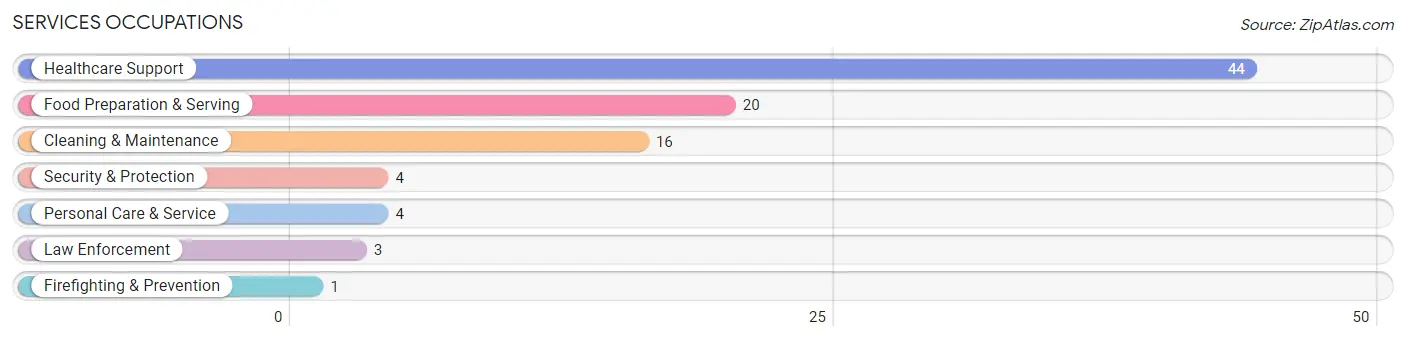 Services Occupations in Zip Code 04643