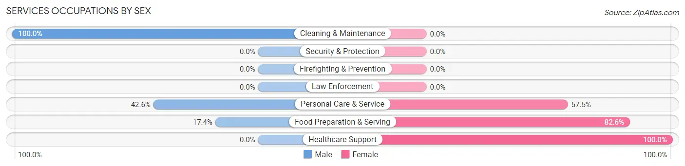 Services Occupations by Sex in Zip Code 04653