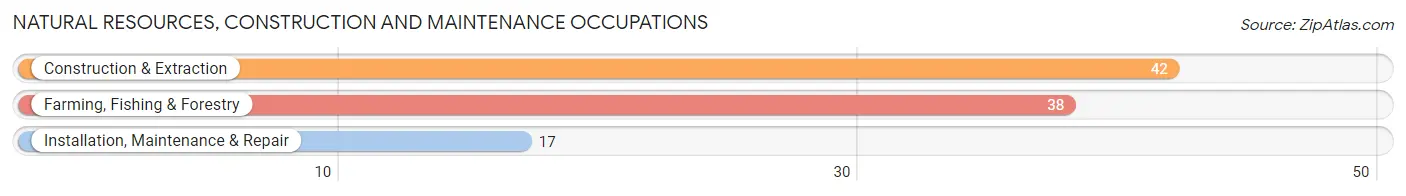 Natural Resources, Construction and Maintenance Occupations in Zip Code 04664