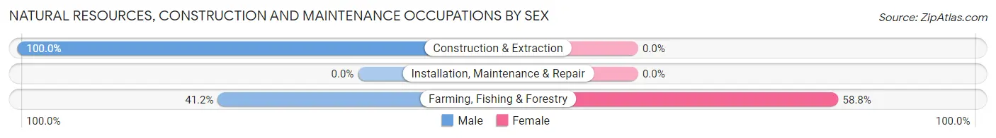 Natural Resources, Construction and Maintenance Occupations by Sex in Zip Code 04676