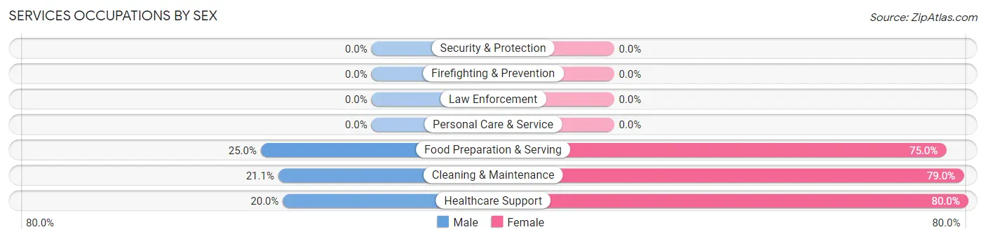 Services Occupations by Sex in Zip Code 04676