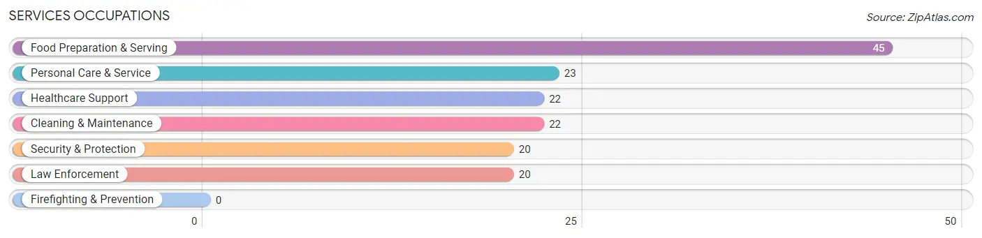 Services Occupations in Zip Code 04694