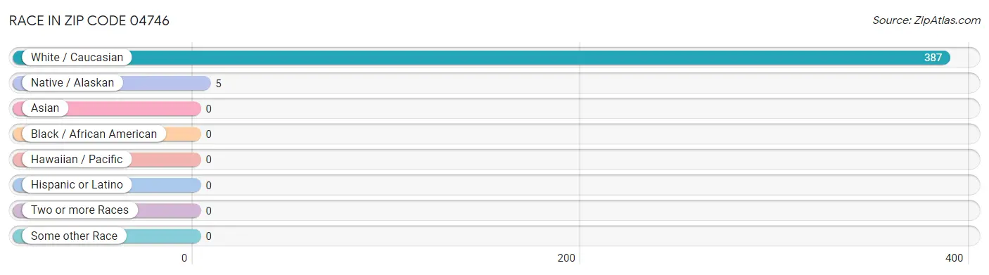 Race in Zip Code 04746