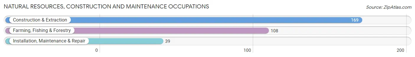 Natural Resources, Construction and Maintenance Occupations in Zip Code 04841