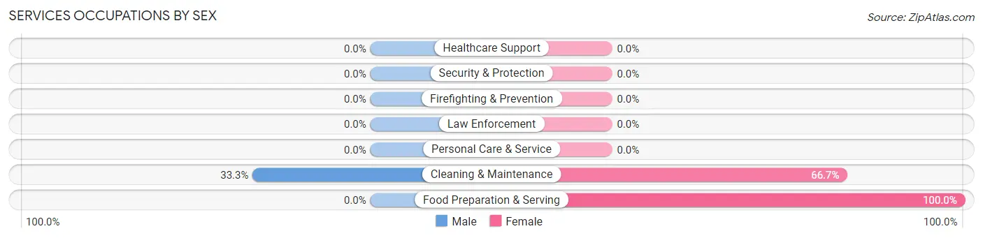 Services Occupations by Sex in Zip Code 04852