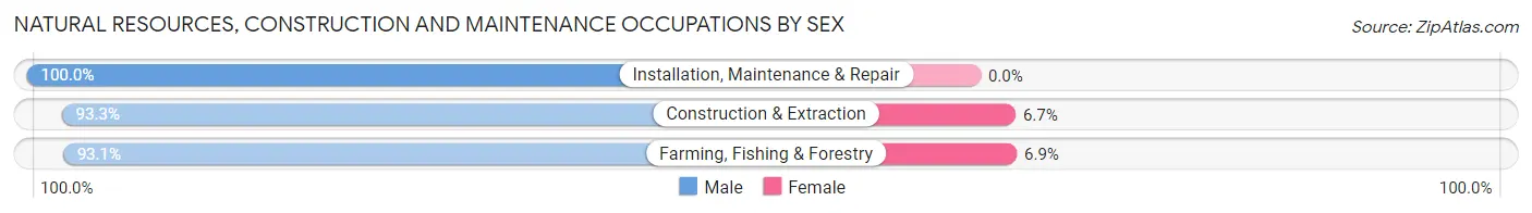 Natural Resources, Construction and Maintenance Occupations by Sex in Zip Code 04853