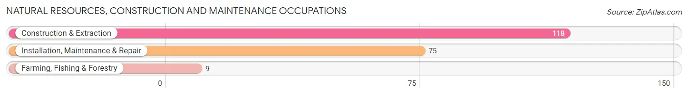 Natural Resources, Construction and Maintenance Occupations in Zip Code 04856