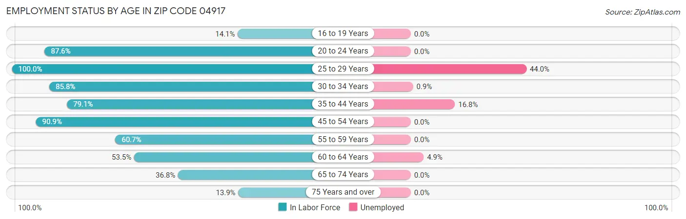 Employment Status by Age in Zip Code 04917