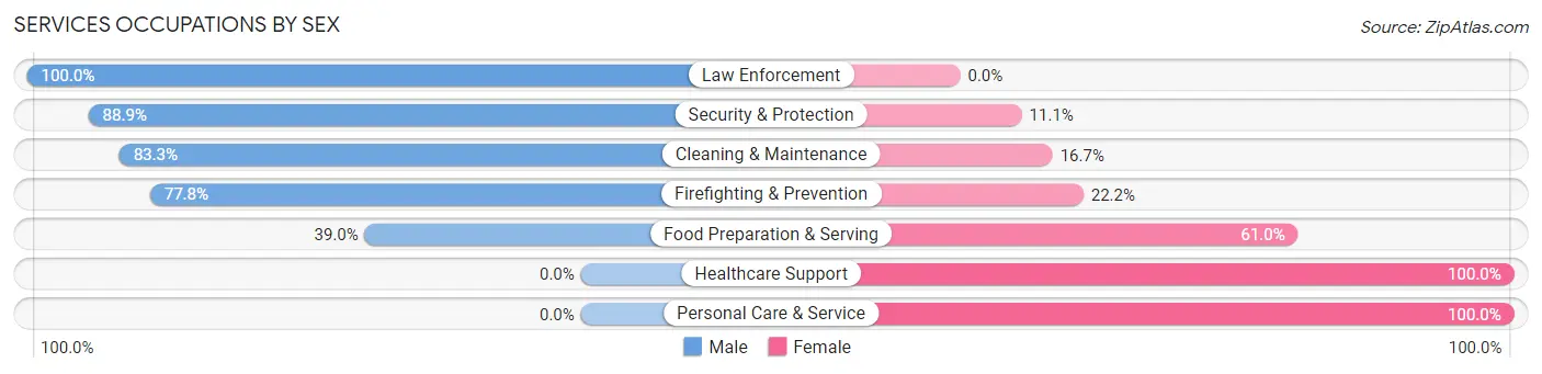 Services Occupations by Sex in Zip Code 04947