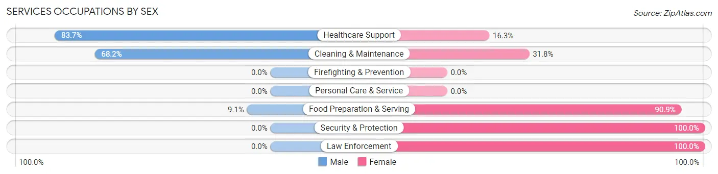 Services Occupations by Sex in Zip Code 04951