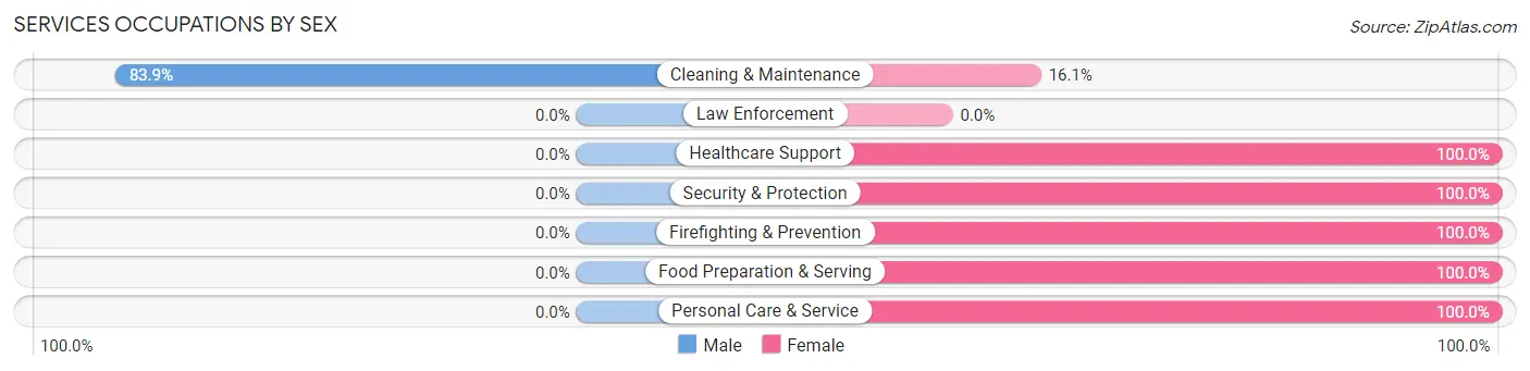 Services Occupations by Sex in Zip Code 04965
