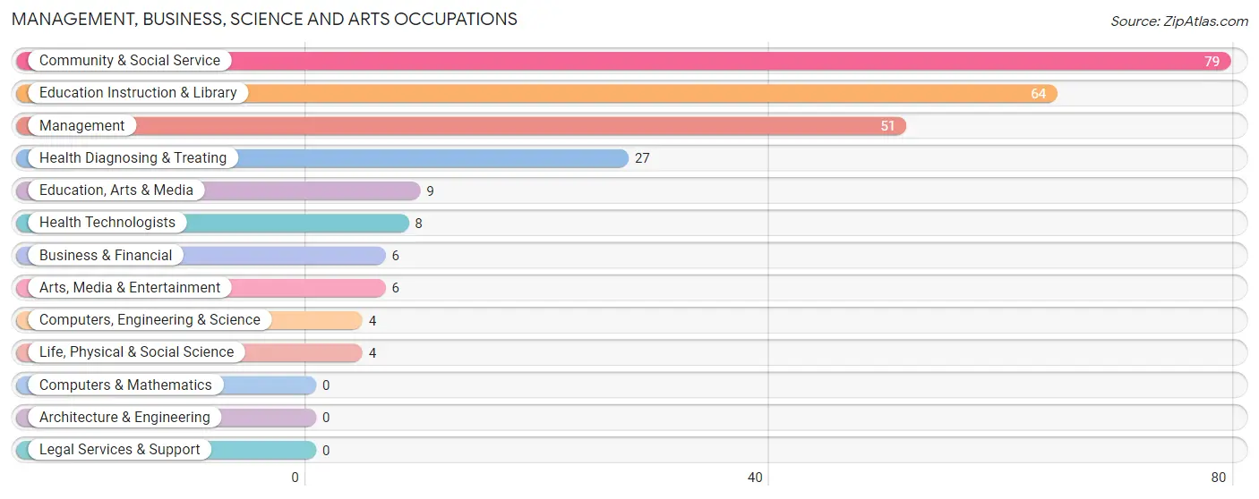 Management, Business, Science and Arts Occupations in Zip Code 04966