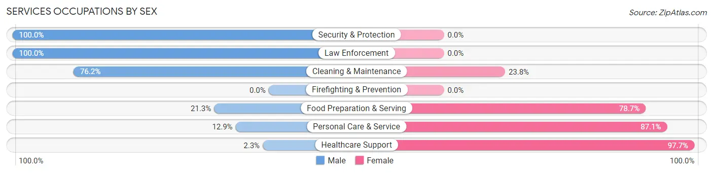 Services Occupations by Sex in Zip Code 04976
