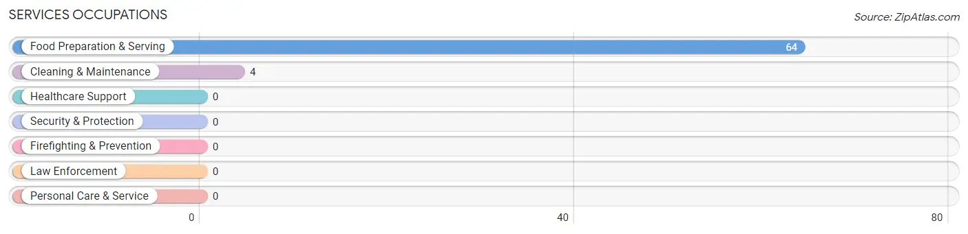 Services Occupations in Zip Code 04982