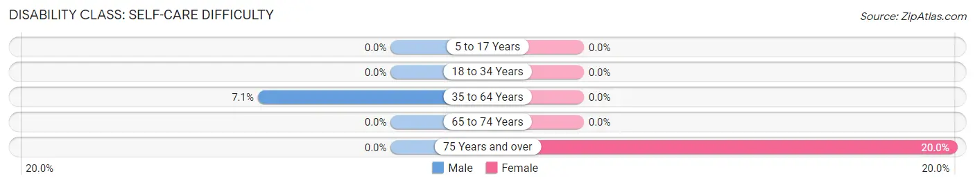 Disability in Zip Code 04987: <span>Self-Care Difficulty</span>