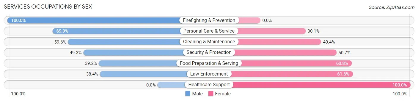 Services Occupations by Sex in Zip Code 05001